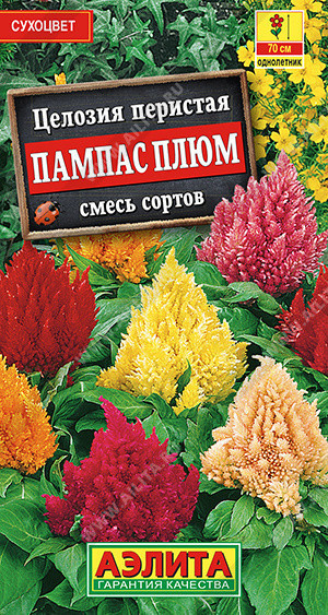 1903A Целозия перистая Пампас Плюм, смесь сортов 0,3 г