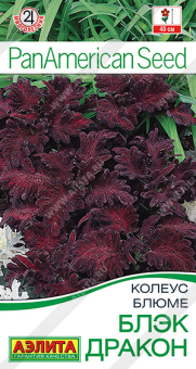 1502A Колеус блюме Блэк дракон 10шт