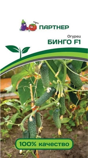 3076P Огурец БИНГО F1 5шт 3076P Огурец БИНГО F1 5шт
