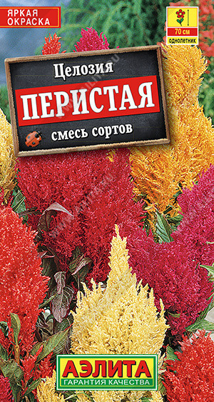1904A Целозия перистая, смесь сортов 0,3 г