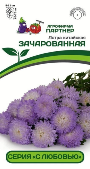 3280P Астра китайская ЗАЧАРОВАННАЯ 5шт