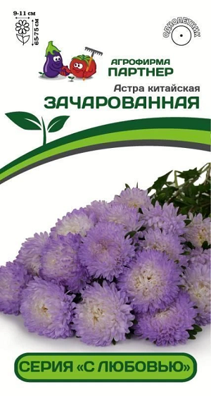 3280P Астра китайская ЗАЧАРОВАННАЯ 5шт