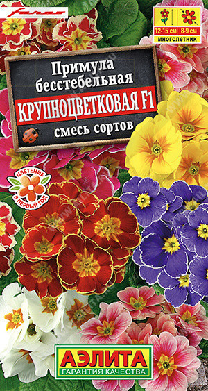 1805A Примула Крупноцветковая F1, смесь сортов 7 шт