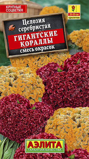 1905A Целозия серебристая Гигантские кружева, смесь окрасок 0,1 г