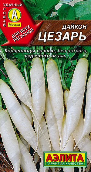 0391A Дайкон Цезарь 1гр