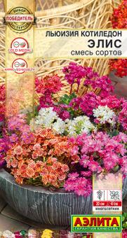 2016A Льюизия котиледон Элис, смесь сортов 5шт