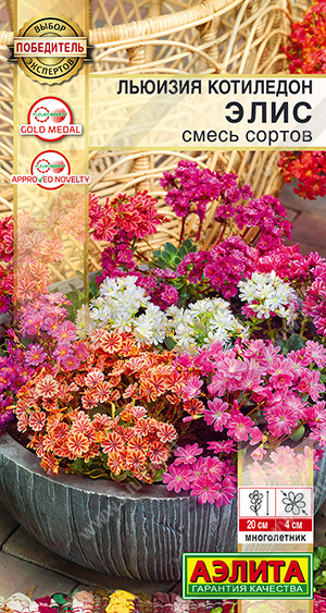 2016A Льюизия котиледон Элис, смесь сортов 5шт 2016A Льюизия котиледон Элис, смесь сортов 5шт