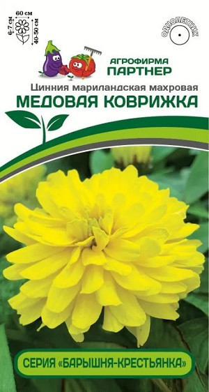 3377P Цинния МЕДОВАЯ КОВРИЖКА / мариландская махровая 5 шт