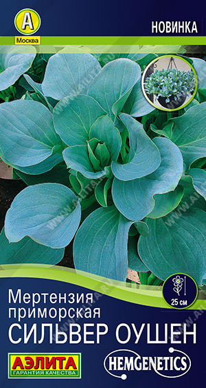 2017A Мертензия приморская Сильвер Оушен 5шт 2017A Мертензия приморская Сильвер Оушен 5шт