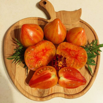 7173Т Томат Искушение 10шт