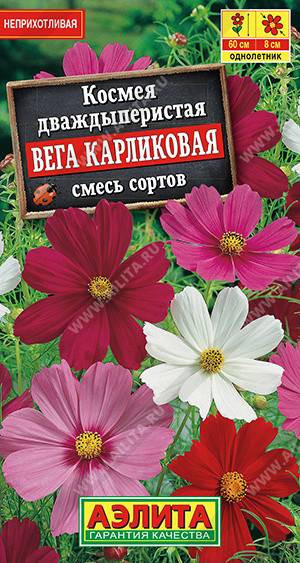 1521A Космея Вега карликовая, смесь сортов 0,3гр
