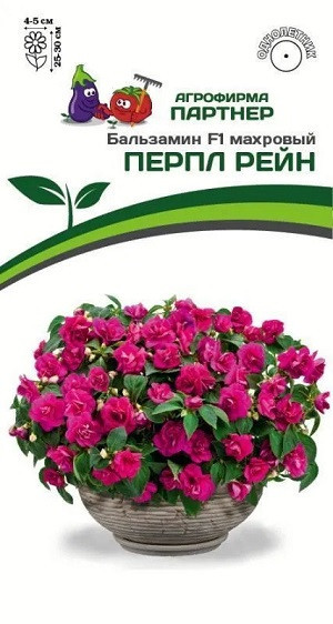 3288P Бальзамин F1 махровый ПЕРПЛ РЕЙН 5шт 3288P Бальзамин F1 махровый ПЕРПЛ РЕЙН 5шт