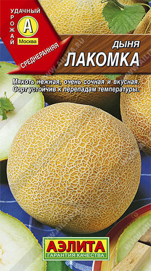 0408A Дыня Лакомка 1 г