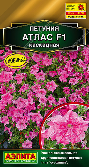1708A Петуния Атлас каскадная F1 5 шт