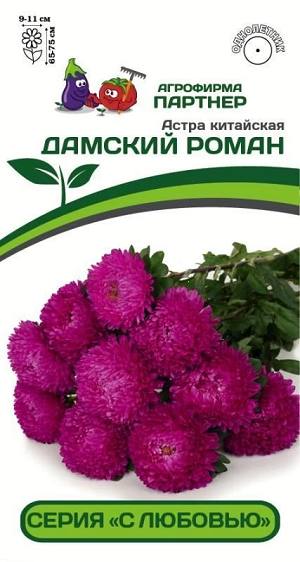 3280P Астра китайская ДАМСКИЙ РОМАН 5 шт