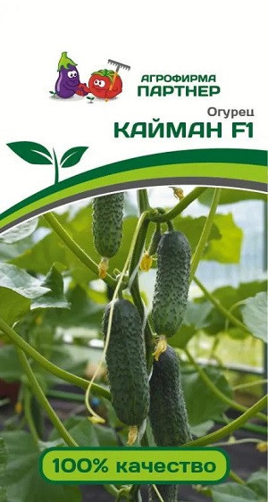 3081P Огурец КАЙМАН F1 10 шт