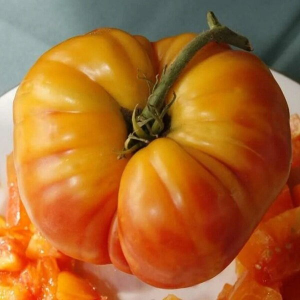 7177Т Томат Король Ананас 10шт 7177Т Томат Король Ананас 10шт