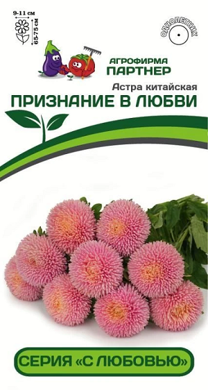 3282P Астра китайская ПРИЗНАНИЕ В ЛЮБВИ 5 шт