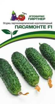 3092P Огурец ПАСАМОНТЕ F1 5шт
