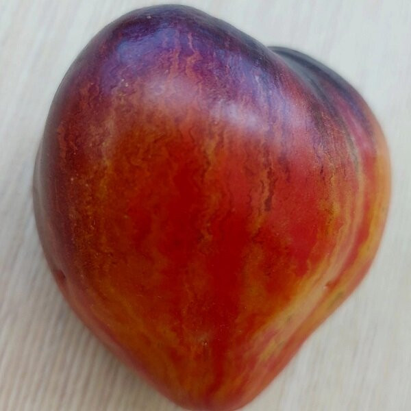 7075Т Томат Сладкая карамель Софии 10шт 7075Т Томат Сладкая карамель Софии 10шт