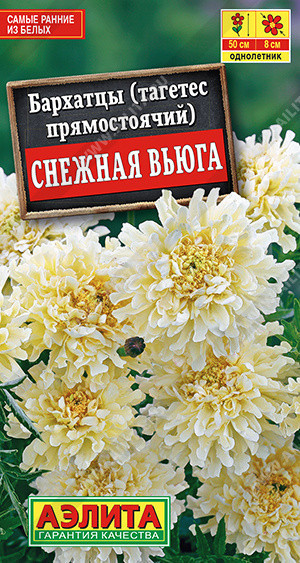 1312A Бархатцы Снежная вьюга 10 шт