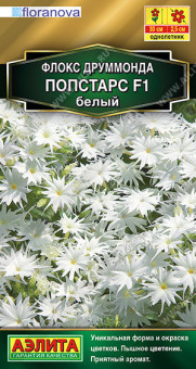 1826A Флокс друммонда Попстарс F1 белый 5шт