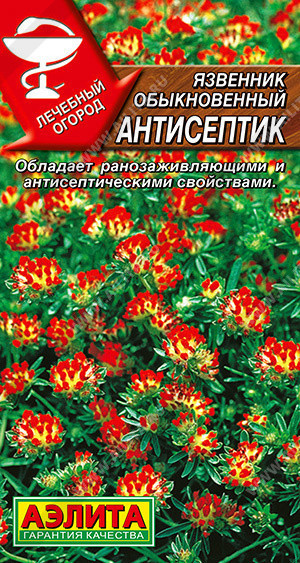 1108A Язвенник Антисептик 0,2гр