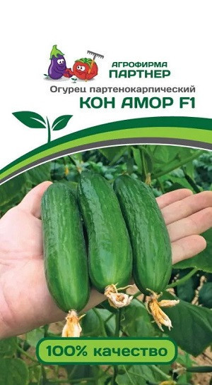 3085P Огурец КОН АМОР F1 5шт