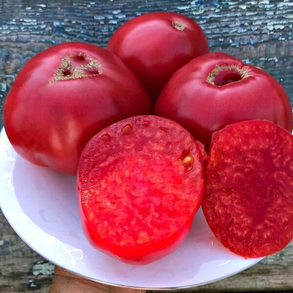 7076Т Томат Сладкая свёкла 10шт 7076Т Томат Сладкая свёкла 10шт