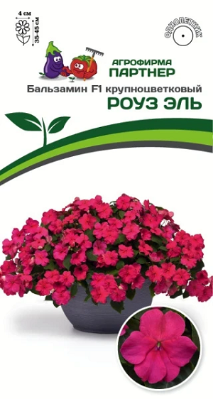 3403P Бальзамин F1 крупноцветковый РОУЗ ЭЛЬ 5шт