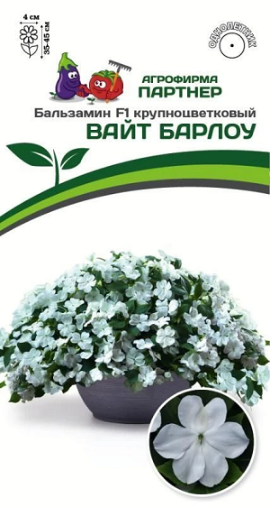 3285P Бальзамин Уоллера F1 крупноцветковый ВАЙТ БАРЛОУ 5 шт