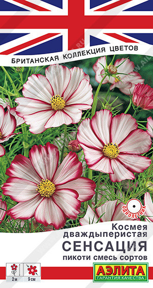 1528A Космея Сенсация пикоти, смесь сортов 0,1гр