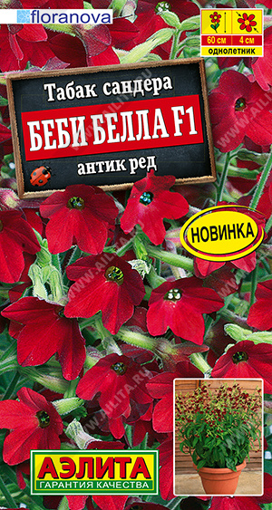 2029A Табак сандера Беби Белла F1 антик ред 7шт