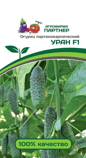 3096P Огурец УРАН F1 5шт 3096P Огурец УРАН F1 5шт