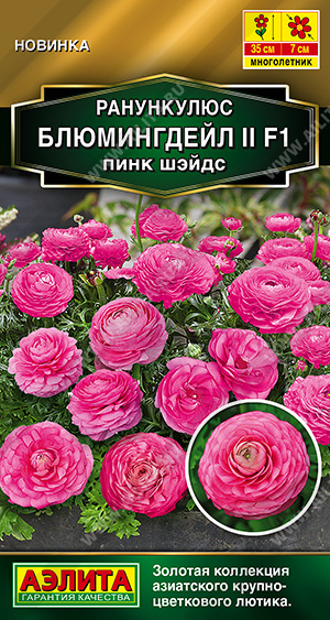 2026A Ранункулюс Блюмингдейл II F1 пинк шэйдс 3шт