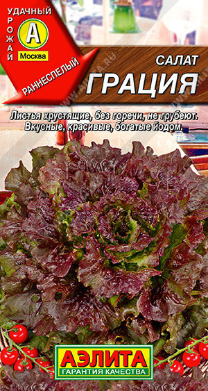 0830A Салат Грация листовой 0,5гр