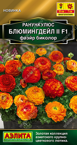 2027A Ранункулюс Блюмингдейл II F1 фаэйр биколор 3шт 2027A Ранункулюс Блюмингдейл II F1 фаэйр биколор 3шт
