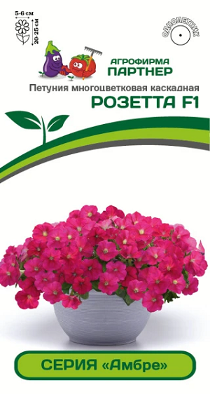 3406P Петуния серия "Амбре" РОЗЕТТА F1 / многоцветковая каскадная 5шт 3406P Петуния серия "Амбре" РОЗЕТТА F1 / многоцветковая каскадная 5шт