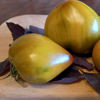 7080T Томат Тайга 10шт