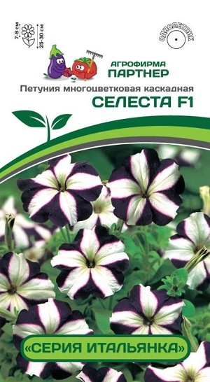 3407P Петуния серия "Итальянка" СЕЛЕСТА F1 / многоцветковая каскадная 5шт 3407P Петуния серия "Итальянка" СЕЛЕСТА F1 / многоцветковая каскадная 5шт