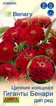 2032A Цинния Гиганты Бенари дип ред 7шт