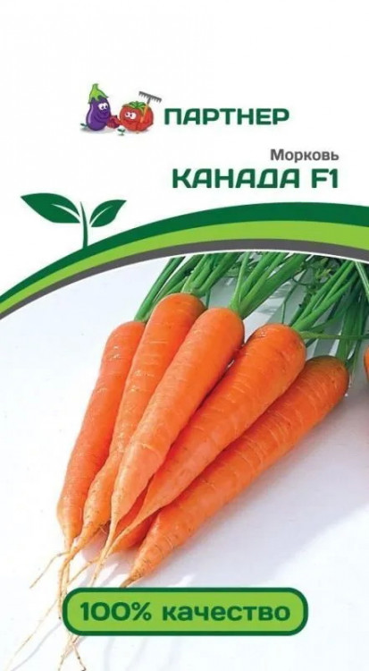 3094 Морковь КАНАДА F1 0,5г