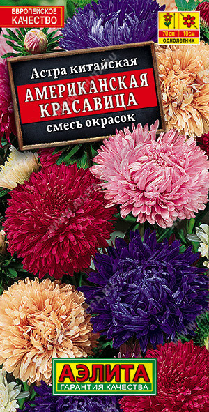 1219A Астра Американская красавица, смесь сортов 0,2 г