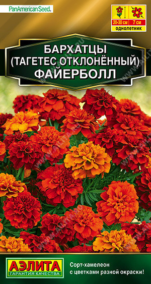 1319A Бархатцы Файерболл отклоненные 5 шт