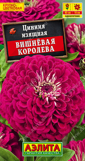 1919A Цинния Вишневая королева 0,3 г
