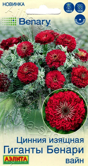 2030A Цинния Гиганты Бенари вайн 7шт 2030A Цинния Гиганты Бенари вайн 7шт