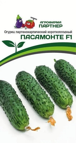 3092P Огурец ПАСАМОНТЕ F1 5шт 3092P Огурец ПАСАМОНТЕ F1 5шт