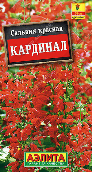1820A Сальвия Кардинал 0,1 г
