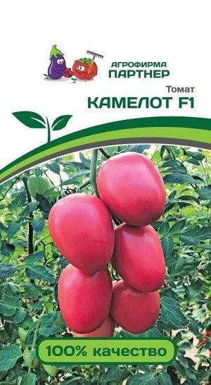 3191P Томат КАМЕЛОТ F1 5 шт