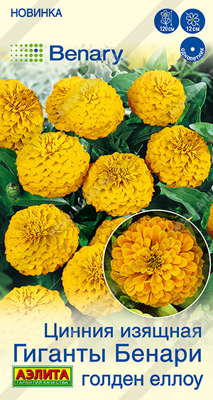 2031A Цинния Гиганты Бенари голден еллоу 7шт 2031A Цинния Гиганты Бенари голден еллоу 7шт